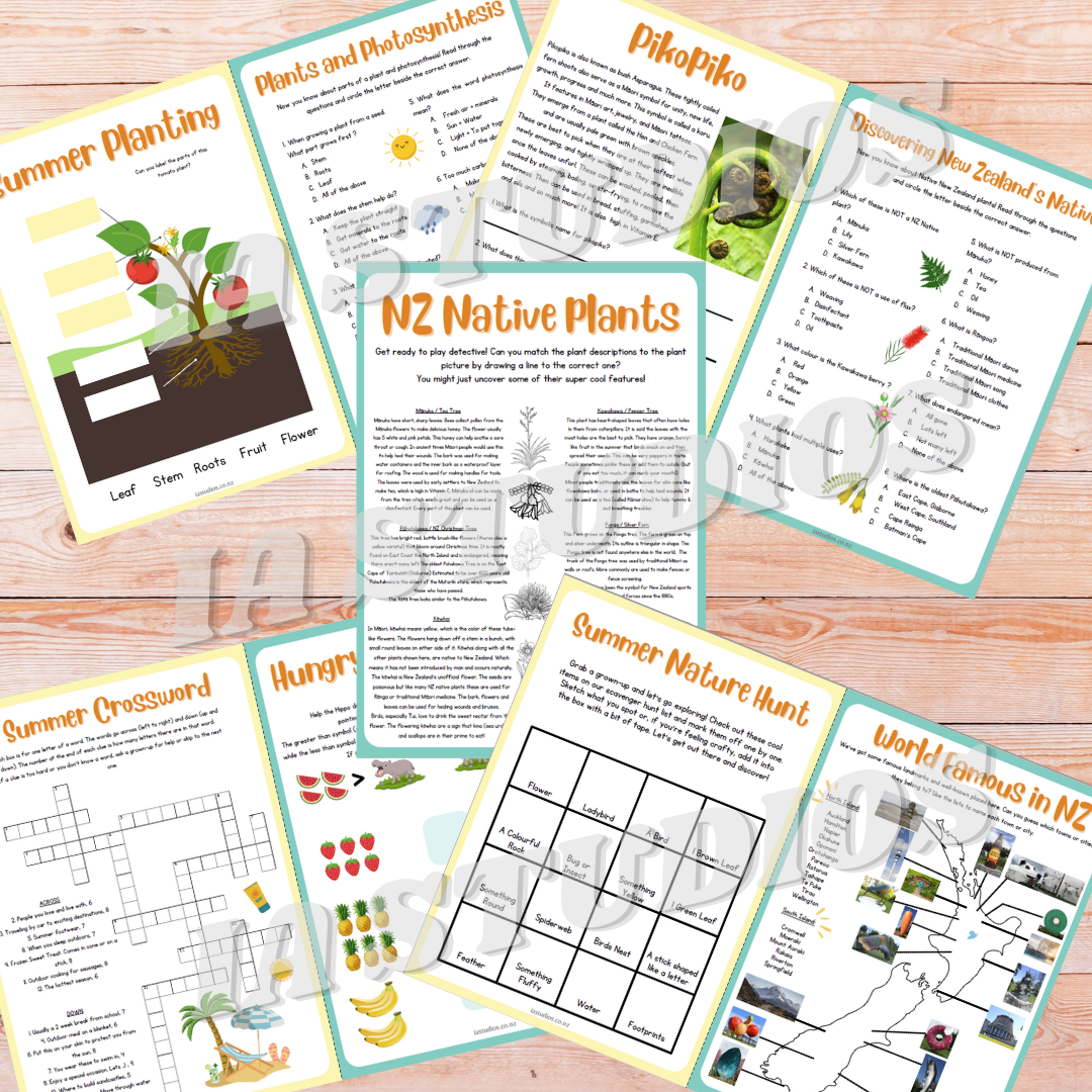 IA STUDIOS NZ Summer Theme Activity Book