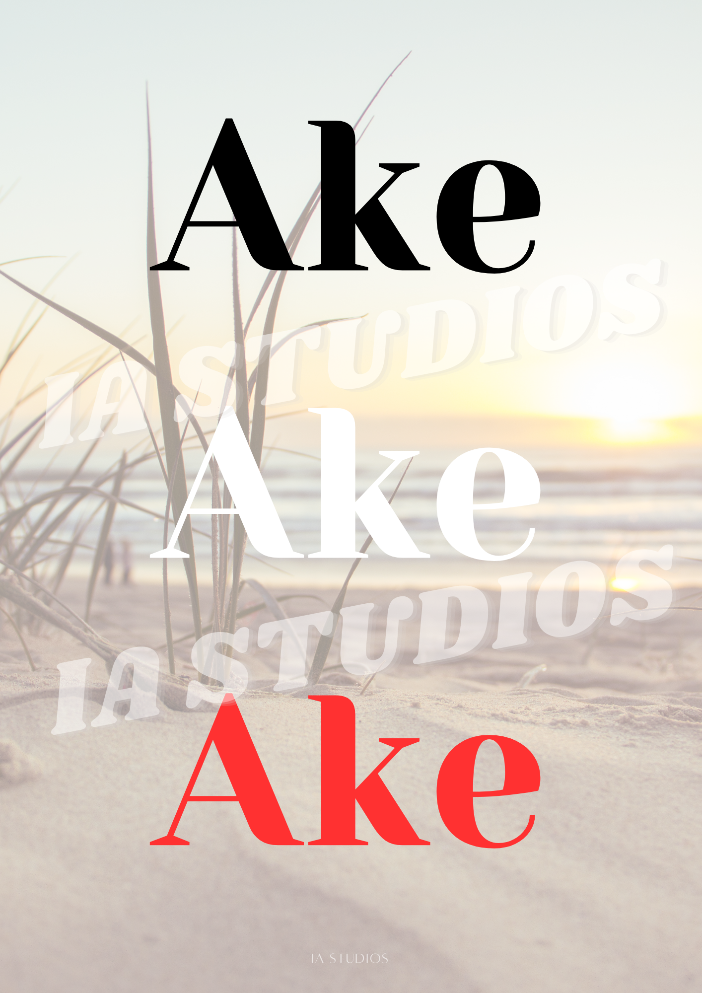 AKE AKE AKE PRINT IA STUDIOS